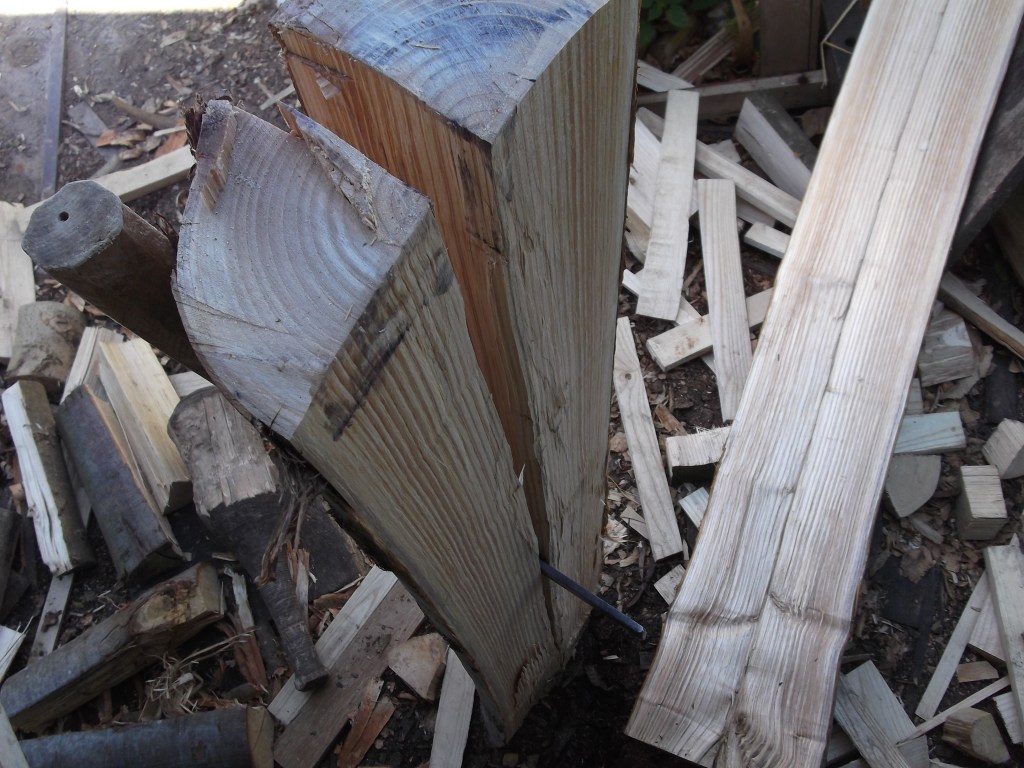 A very clean straight 20 year old coppiced Chestnut log.